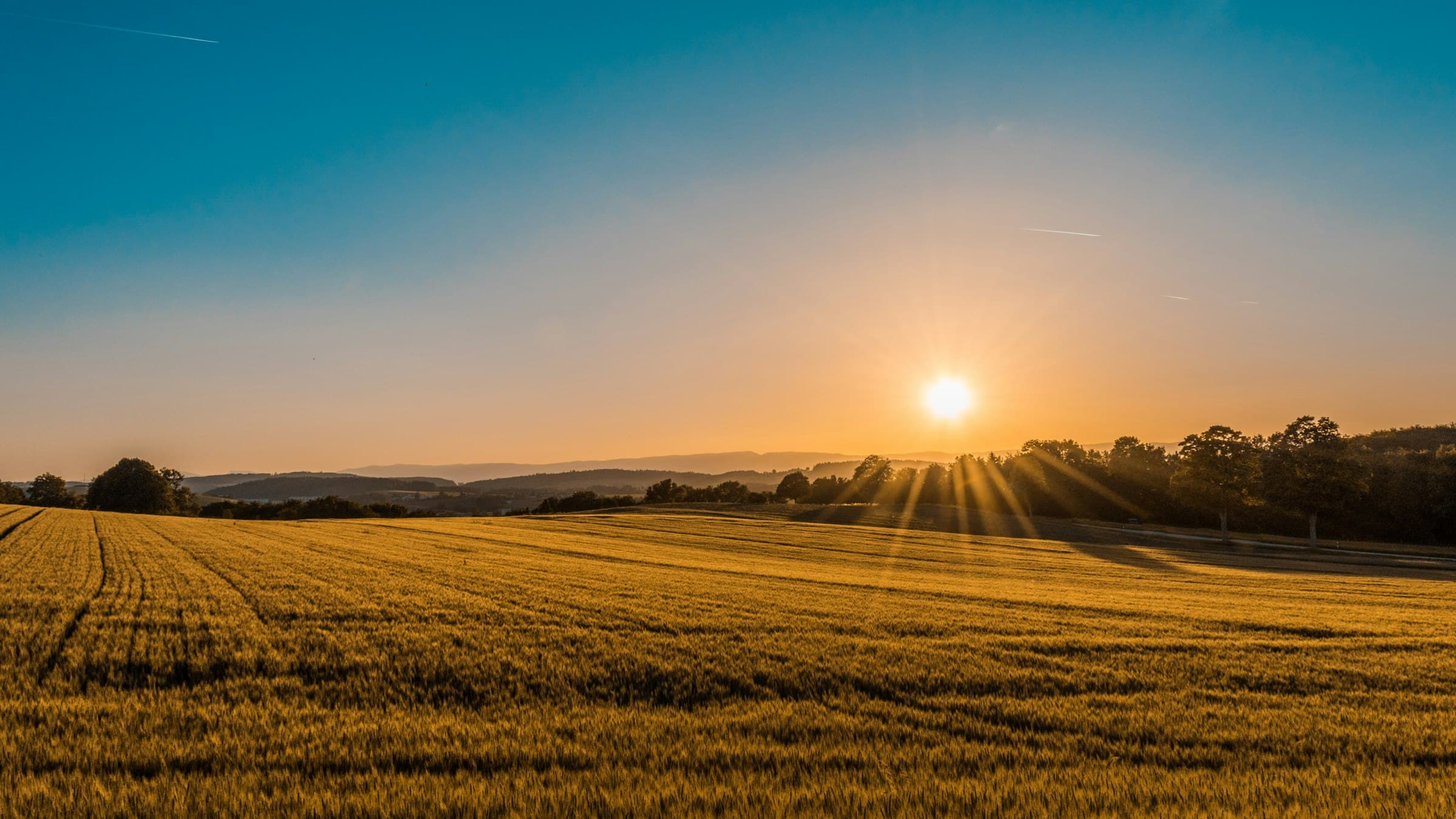 Open fields under a soft morning sky